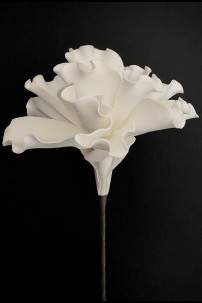  25x9" WHITE FOAM FLOWER [FF705123]